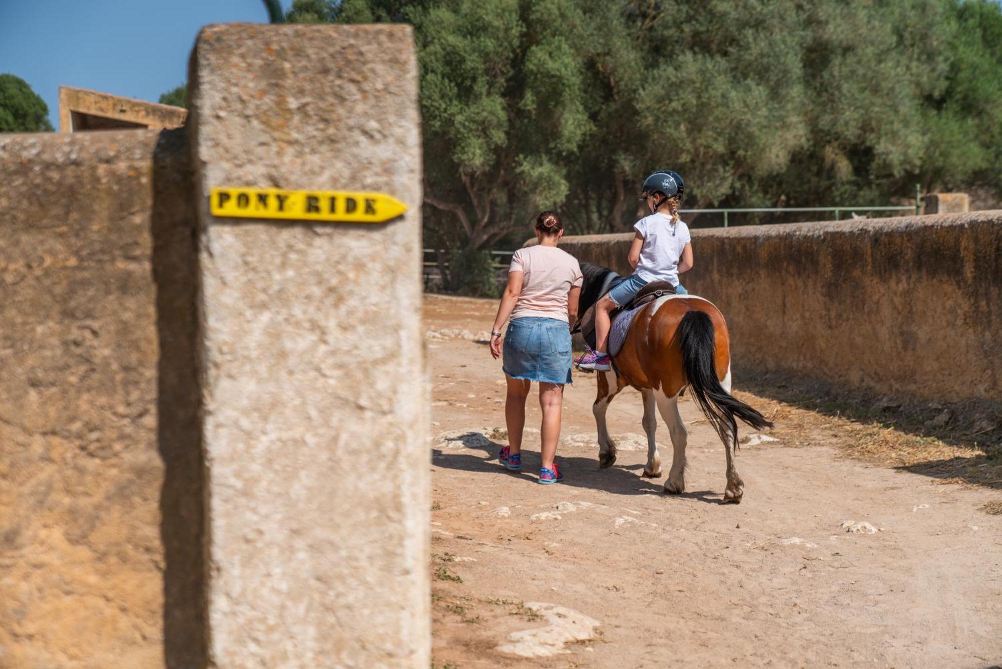 Finca Agroturismo Son Menut Felanitx Zewnętrze zdjęcie