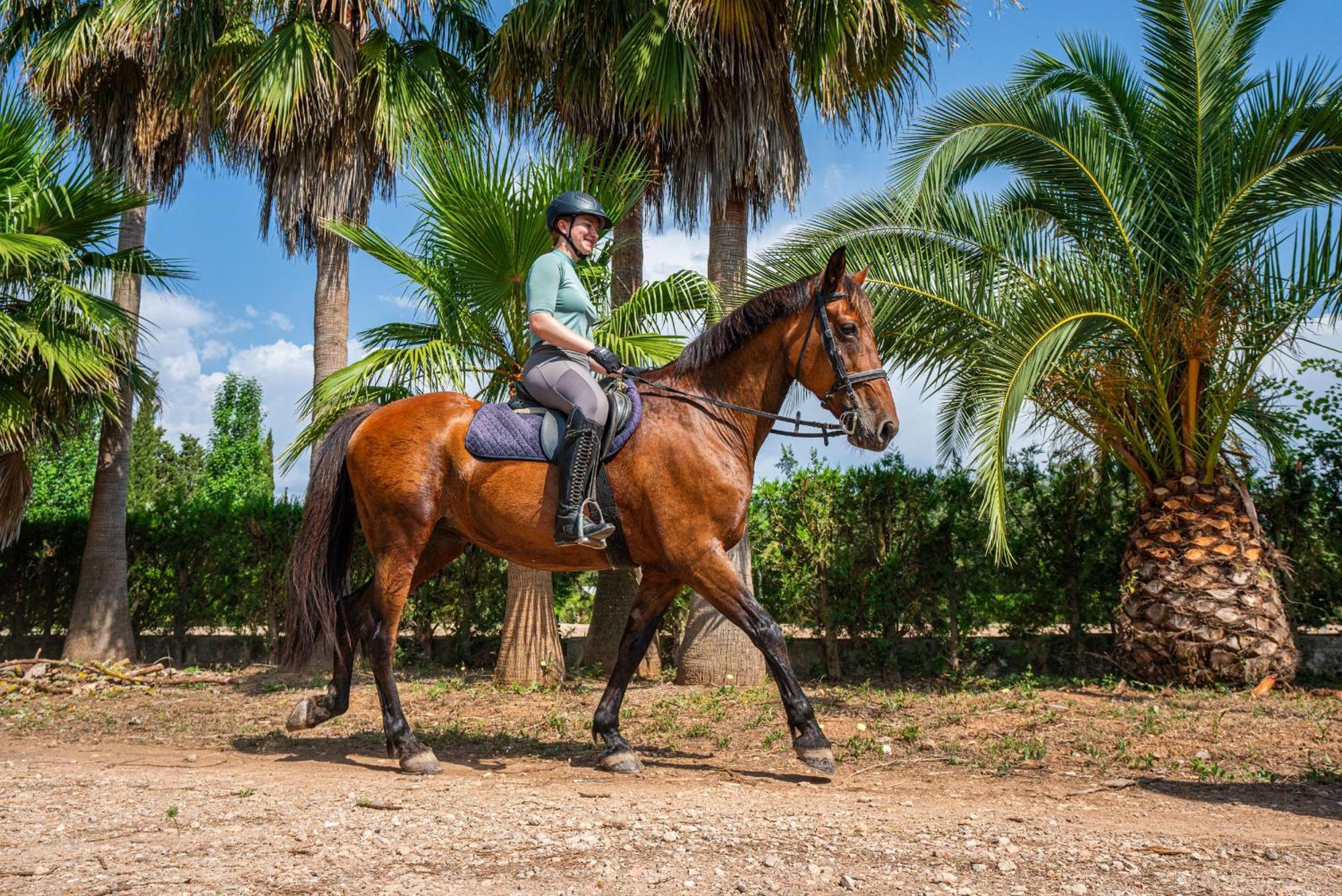 Finca Agroturismo Son Menut Felanitx Zewnętrze zdjęcie