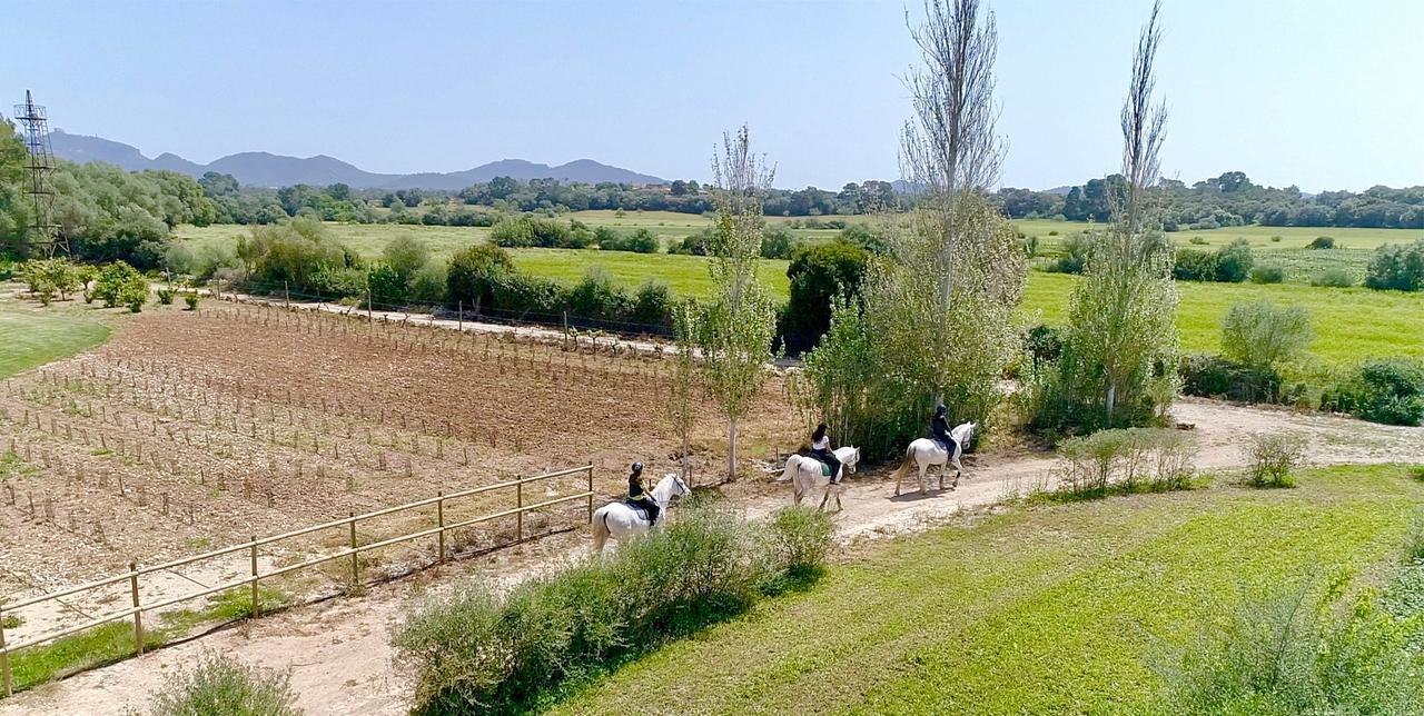 Finca Agroturismo Son Menut Felanitx Zewnętrze zdjęcie